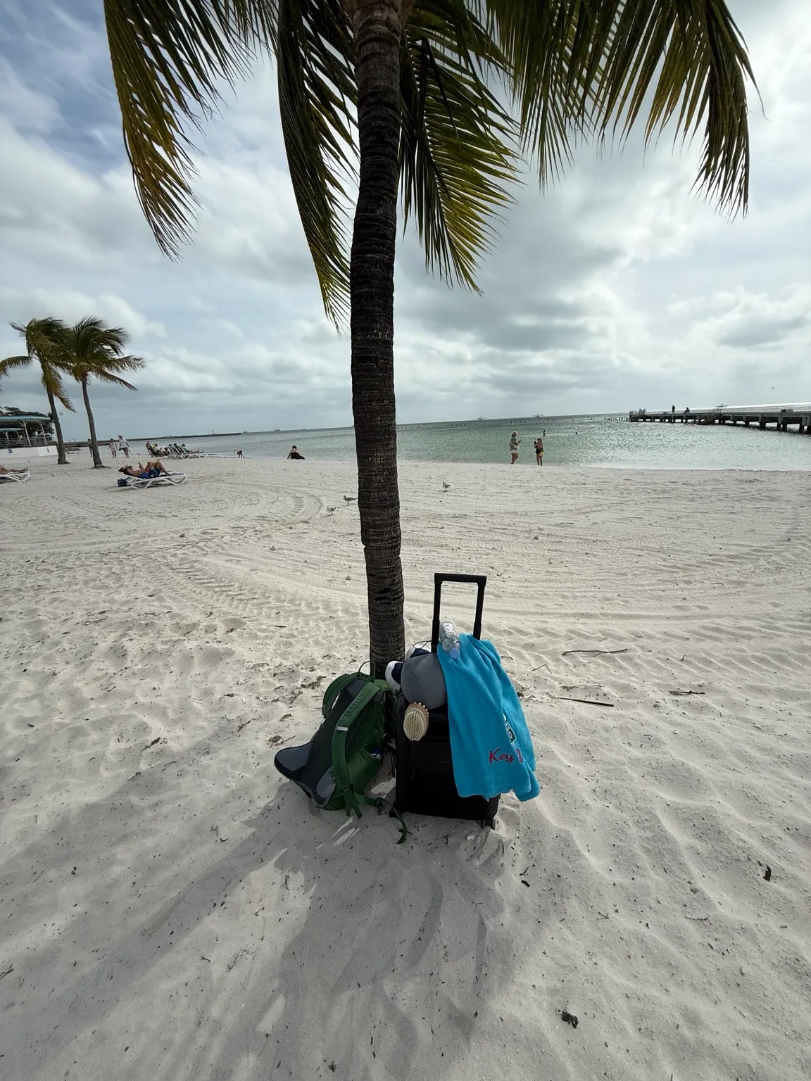 A palm tree on Higgs Beach with a bag in the shade
